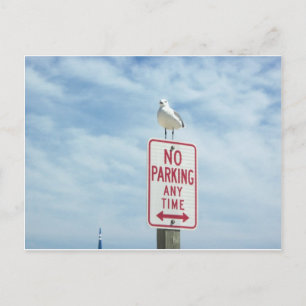 Kein Parkzeichen für den Vogel Postkarte