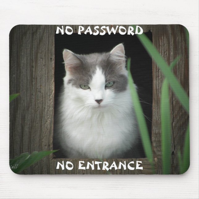 Kein Passwort kein Eingang Mousepad (Vorne)