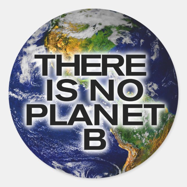 Kein Planet B - umweltbewusste Aufkleber (Vorderseite)