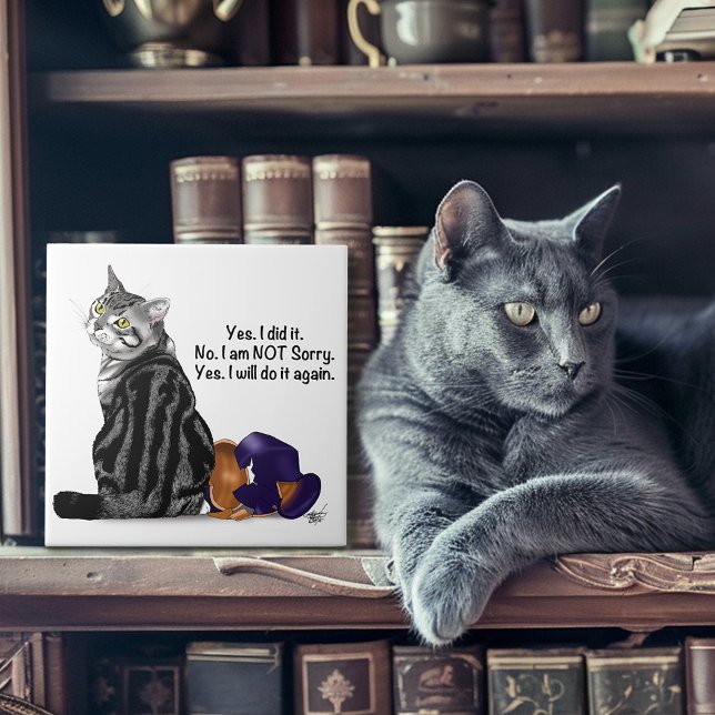 Kein Remorge Tabby Cat Funny Fliese (Von Creator hochgeladen)