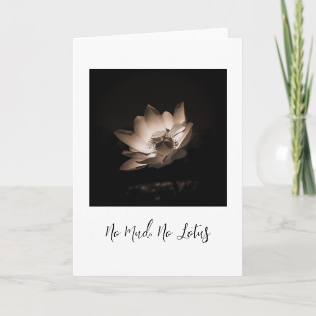 kein Schlamm, kein Lotus, originelle Fotokarte Karte (Vorderseite)