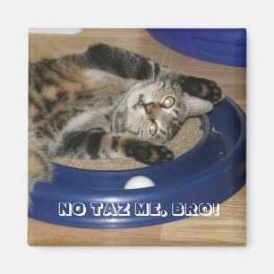 KEIN TAZ MICH, BRO! MAGNET