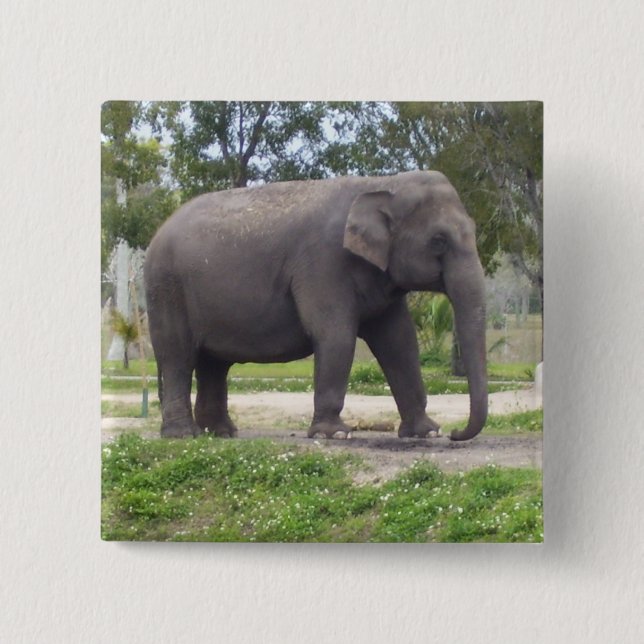 Kein Tusk Elephant Button (Vorderseite)