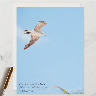 Kein Vogel stürzt zu hoch Seagull Scrapbook Papier