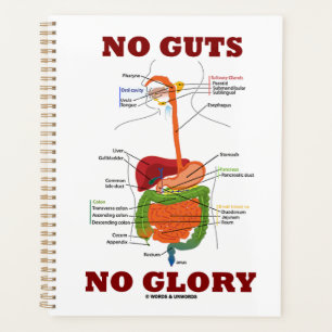 Kein Würfel kein glorreicher Digestive System Ana Planer