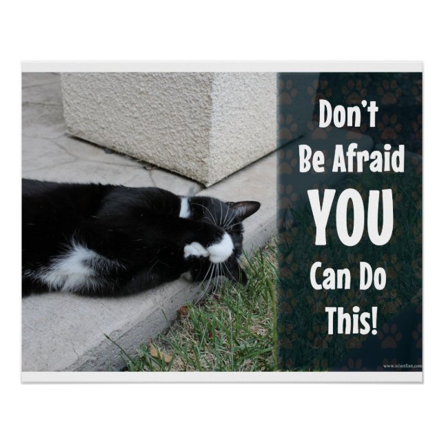 Keine Angst vor Motivierend Cat-Zitat Poster (Vorderseite)