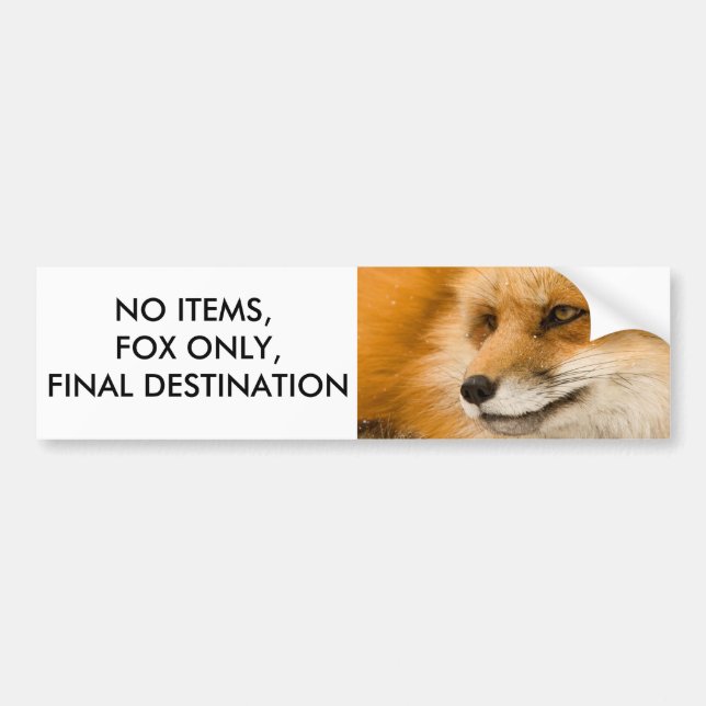 Keine Einzelteile, nur Fox, endgültiges Autoaufkleber (Vorne)