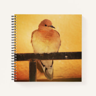 "Keine Fotos, bitte!" Notizbuch