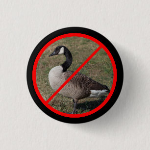 Keine Gänse erlaubt Button