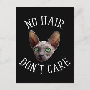 Keine Haare, egal! Lustige Sphynx-Katze Postkarte