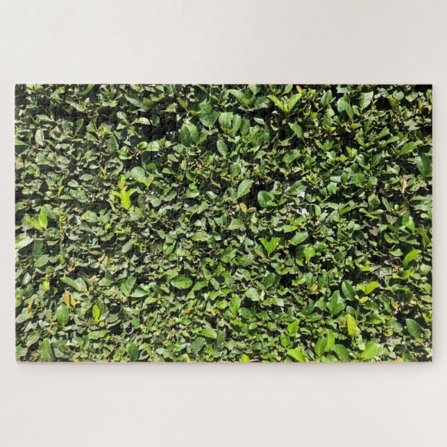 keine Hecke (Horizontal)