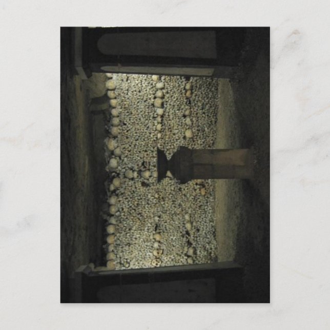 Keine höhere Auflösung verfügbar. Catacombs-700px. Postkarte (Vorderseite)