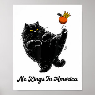 Keine Könige in Amerika Wir, das Volk, das für mic Poster