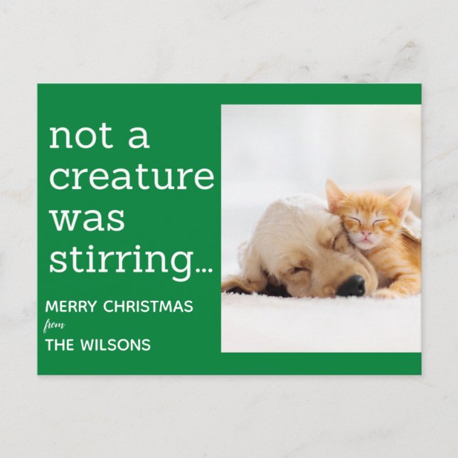 keine Kreatur rührte Weihnachten des grünen Fotos  Postkarte (Vorderseite)