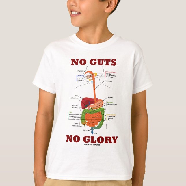 Keine Männer ohne Ruhm (Spaß für die Anatomie des  T-Shirt (Vorderseite)