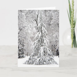 -Keine Schneeflocke fällt an der falschen Stelle. Feiertagskarte