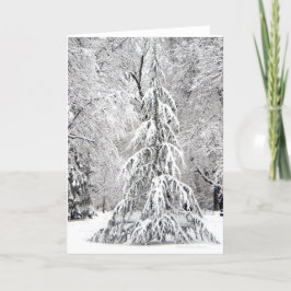 -Keine Schneeflocke fällt an der falschen Stelle. Feiertagskarte