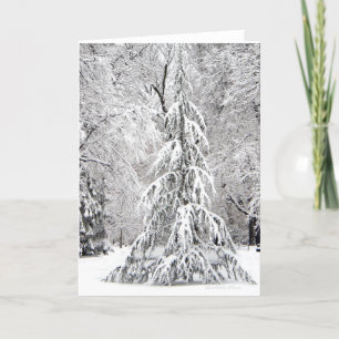 -Keine Schneeflocke fällt an der falschen Stelle. Feiertagskarte