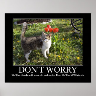 Keine Sorge.. Cat Friendship Artwork Poster