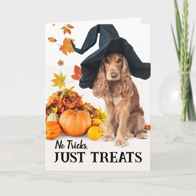 Keine Tricks nur Leckereien Halloween Cocker Spani Karte (Vorderseite)