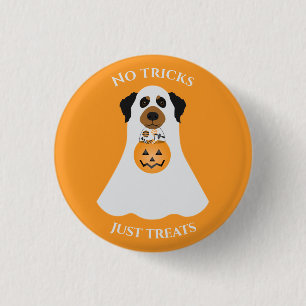 Keine Tricks nur Leckereien Halloween Hund Button