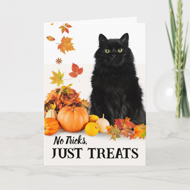 Keine Tricks nur Leckereien Halloween-Schwarzkatze Karte (Vorderseite)