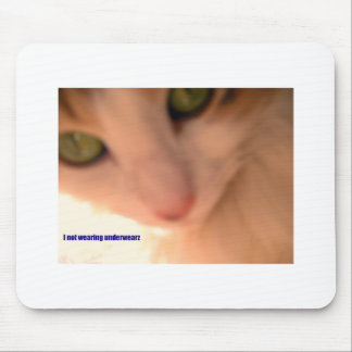 keine Unterwäsche-Miezekatze Mousepad