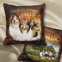 Keine Zuhause mit Colliesen, Portrait & Szene, rus Kissen