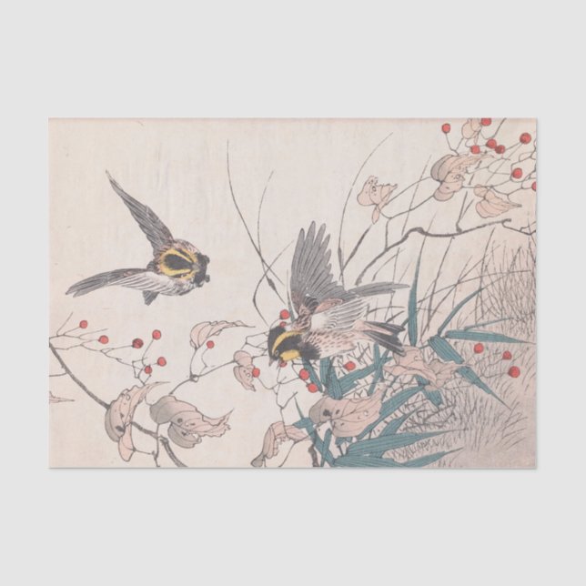 Keinen Kachō Gafu, Pl.27, von Imao Keinen Seidenpapier (Vorderseite)