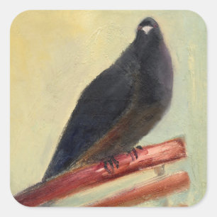 Keing Court Pigeon 2013 Quadratischer Aufkleber