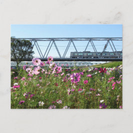 Keisei-Zug: Edogawa, Tokio Postkarte