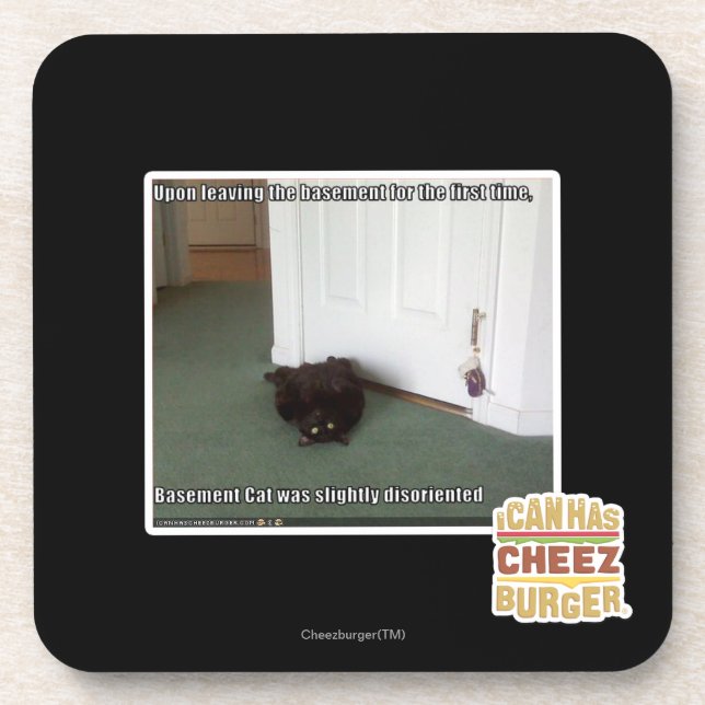 Keller-Katze, etwas verwirrt Getränkeuntersetzer (Vorderseite)