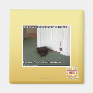 Keller-Katze, etwas verwirrt Magnet