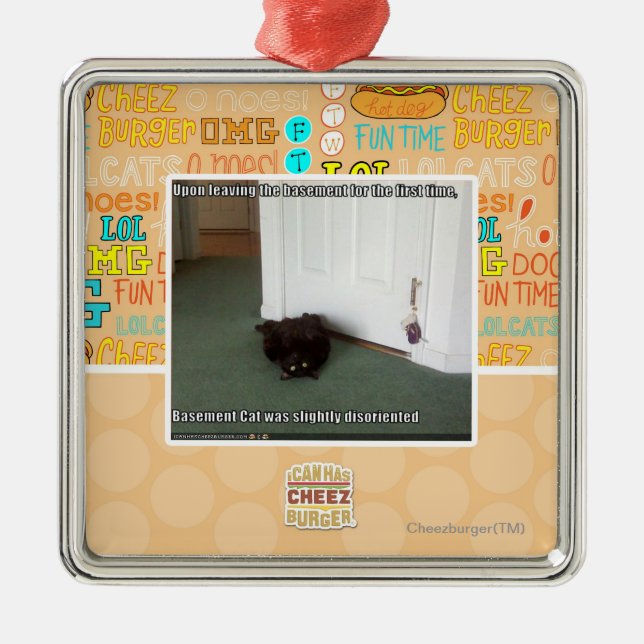 Keller-Katze, etwas verwirrt Silbernes Ornament (Vorne)