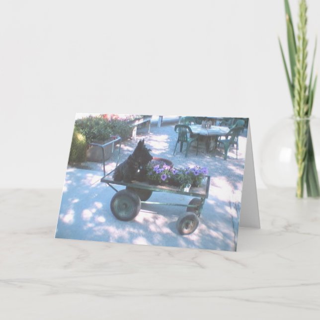 Kelly Boo auf Blume Warteliste Karte (Vorderseite)