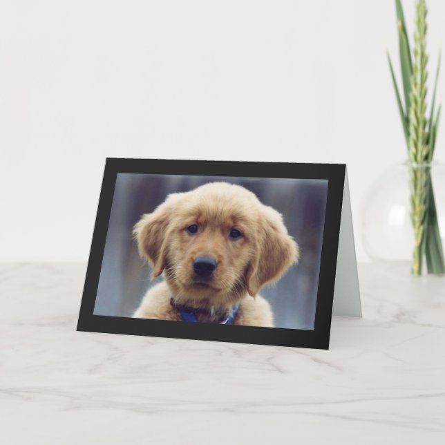 Kelly Golden Retriever Blank Grußkarte Karte (Vorderseite)
