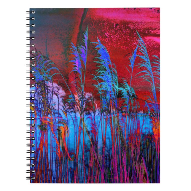 Kelly Nickels Fotografie / Willows & Weeds Notizblock (Vorderseite)