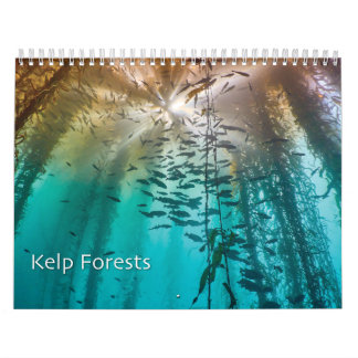 Kelp Forest Underwater Foto Calendar - Ocean Kalender
