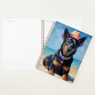 Kelpie australienne sur la plage, cadeau d'été amo