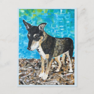 Kelpie Hund Postkarte