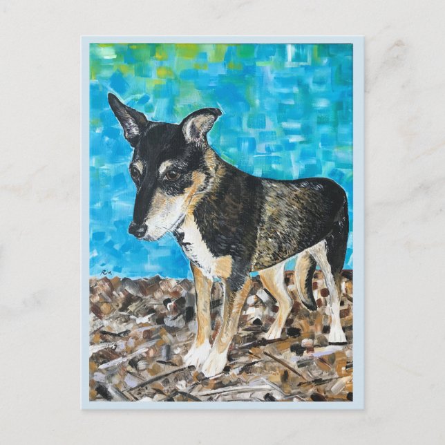 Kelpie Hund Postkarte (Vorderseite)