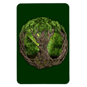 Keltischer Baum des Lebens Magnet