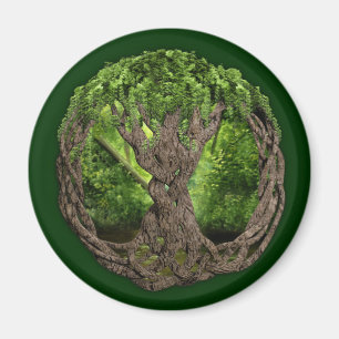 Keltischer Baum des Lebens Magnet