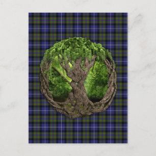 Keltischer Baum Hochland-Stolz von Schottland Postkarte