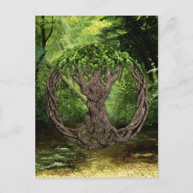 Keltischer Baum Postkarte (Vorderseite)