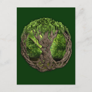 Keltischer Baum Postkarte