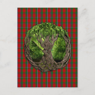 Keltischer Baum und Clan Sinclair Tartan Postkarte