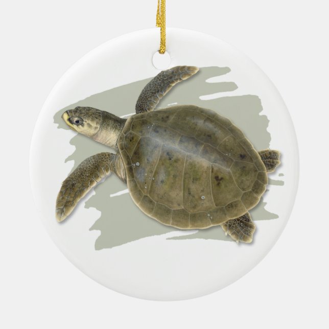 Kemps Ridley Seeschildkröte-Keramik-Verzierung Keramikornament (Hinten)
