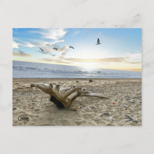 Kenai Beach Alaska - Postcard Postkarte