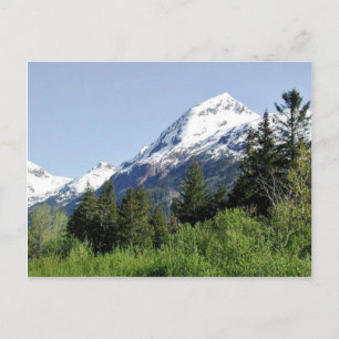 Kenai Fjords Nationalpark Postkarte